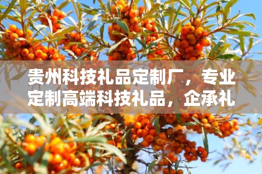 贵州科技礼品定制厂，专业定制高端科技礼品，企承礼品供应链助力商务推广