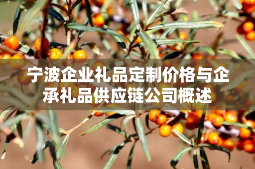 宁波企业礼品定制价格与企承礼品供应链公司概述